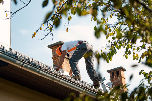Best Roof Replacement Cost  in Newport, KY